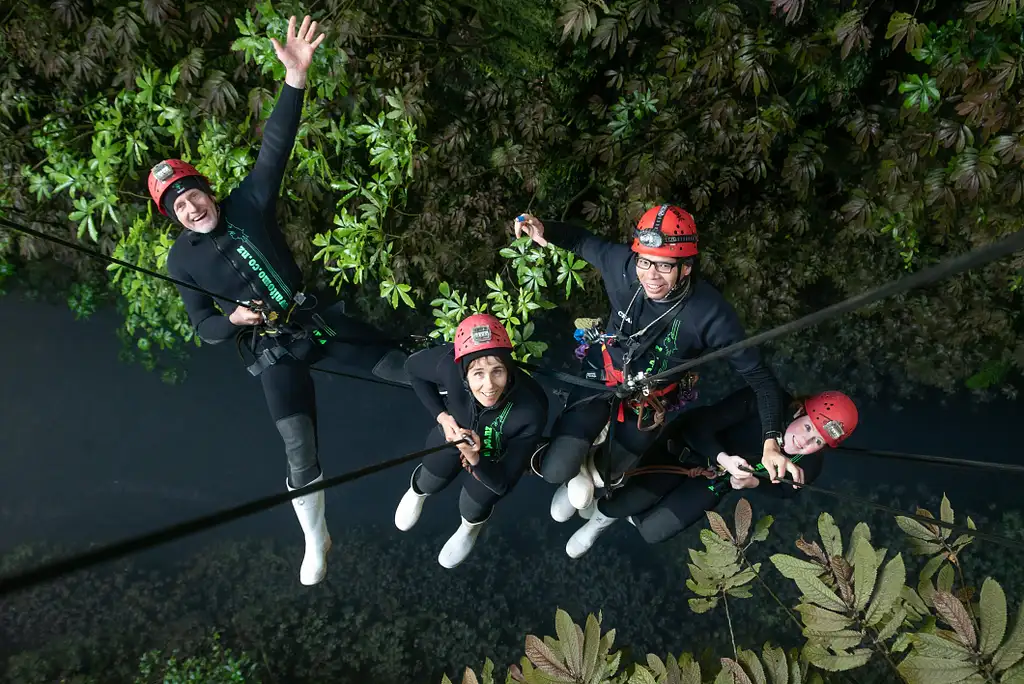 7 Day Coasts & Culture Tour | Wellington to Auckland | Haka Tours