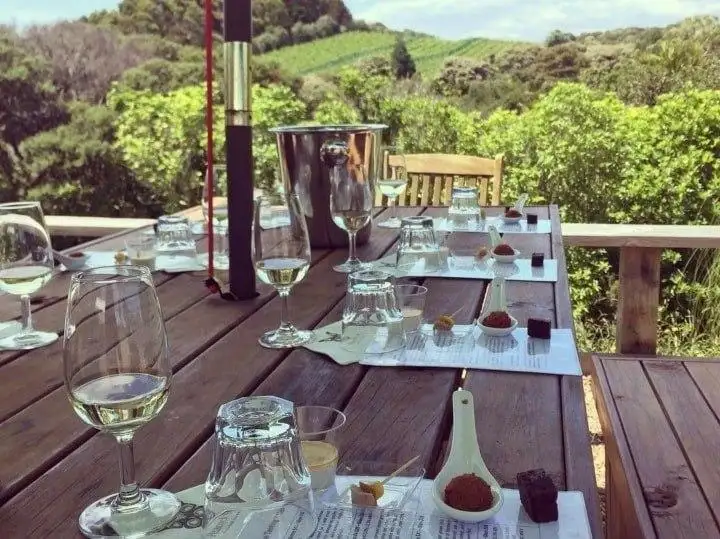 Gourmet Food And Wine Tour On Waiheke Island