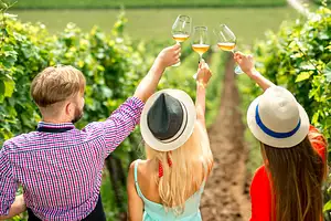 Half Day Mount Tamborine Mountain Winery Tour with Lunch | GoldCoast