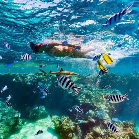 Fiji snorkeling tour discount