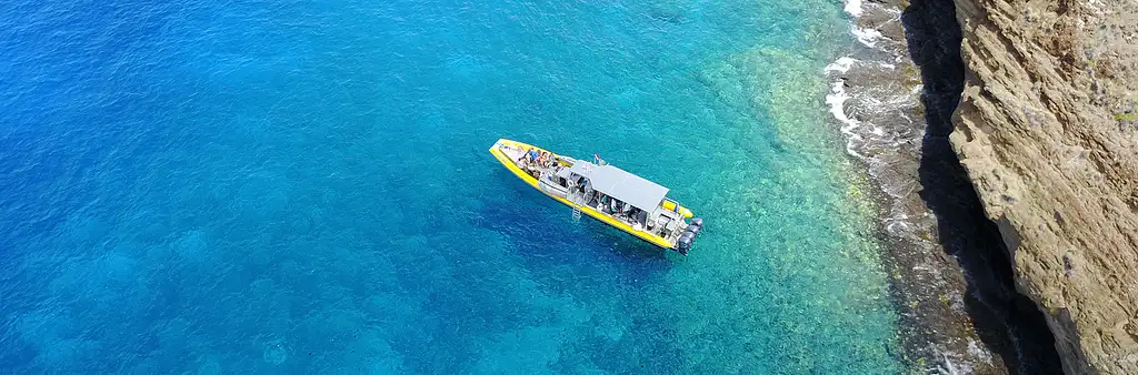 Molokini Crater & Turtle Cove Snorkel Tour