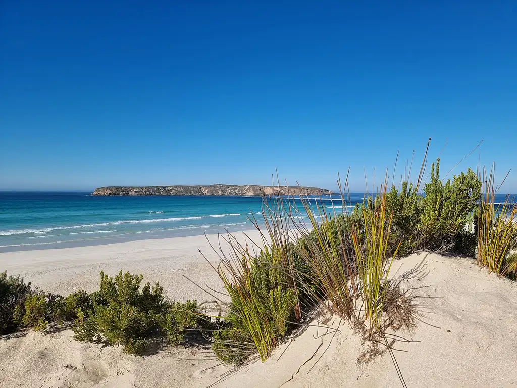 Coffin Bay Oysters & Sightseeing 4WD Tour
