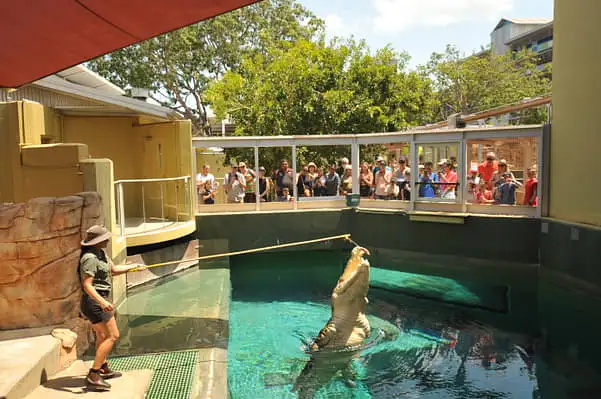 Croc N History Tour