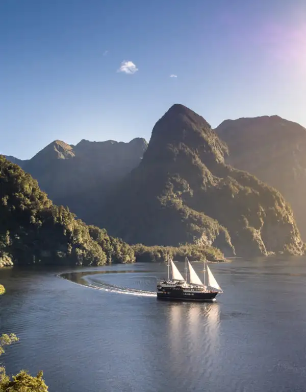 The Best Time to Visit Doubtful Sound: A Complete Travel Guide