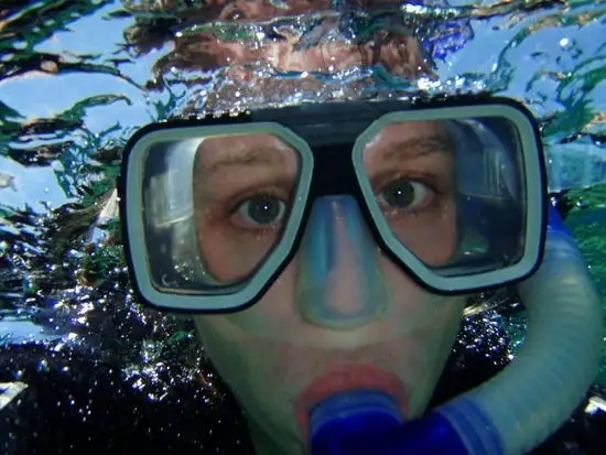 Great Barrier Reef Snorkelling Full Day Trip - Cairns to Cairns