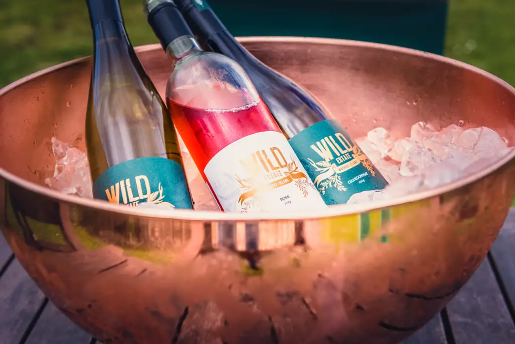 Fun-Filled Beer, Wine & Oyster Tasting