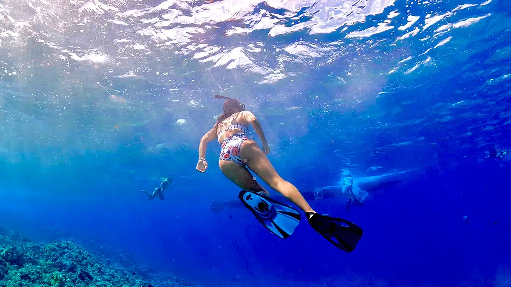 Molokini Crater & Turtle Cove Snorkel Tour