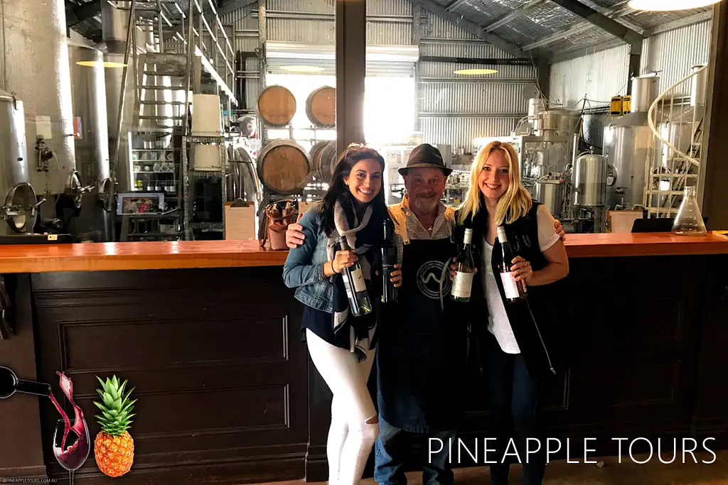 Premium Full Day Mount Tamborine Winery Tour with Lunch | Brisbane or Gold Coast Departure