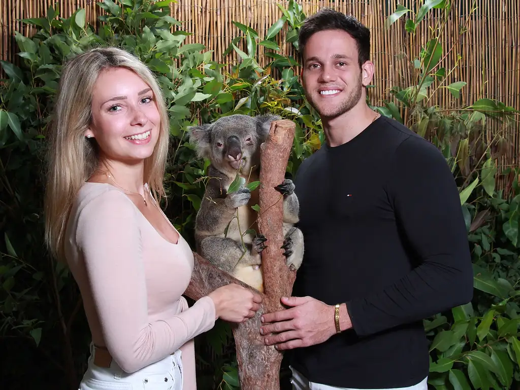 Wildlife, Daintree Rainforest & Mossman Gorge Tour | Optional Dreamtime Walk