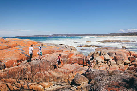 5 day Bay of Fires walking tour