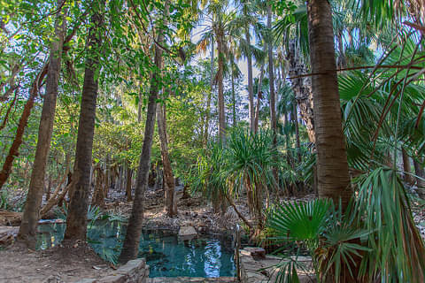 Alice Springs to Darwin tour coupon code