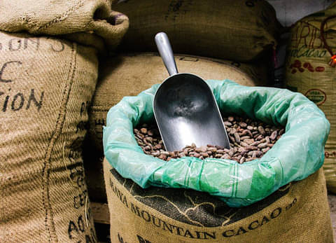 how chocolate bars are made