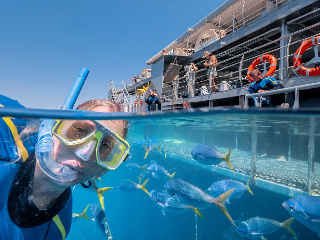 Reefsuite Overnight Stay
