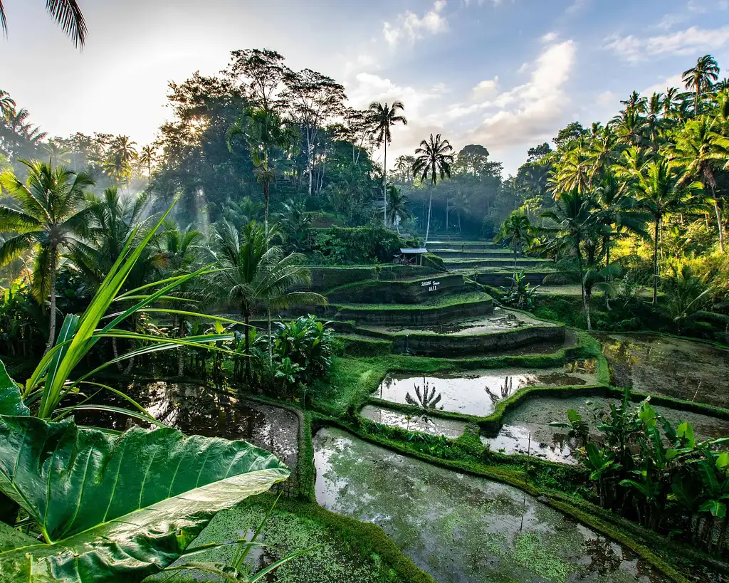 8 Day Bali Besties Trip with Laura Elizabeth | 11 September 2025