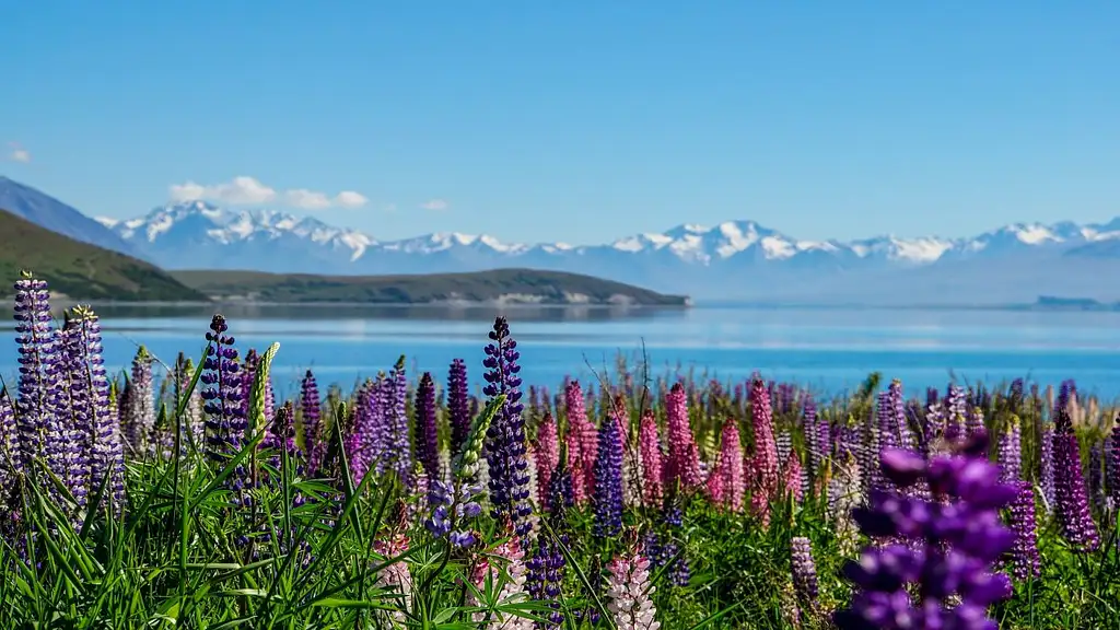 2 Day Mount Cook & Lake Tekapo Small Group Tour | Ex Queenstown
