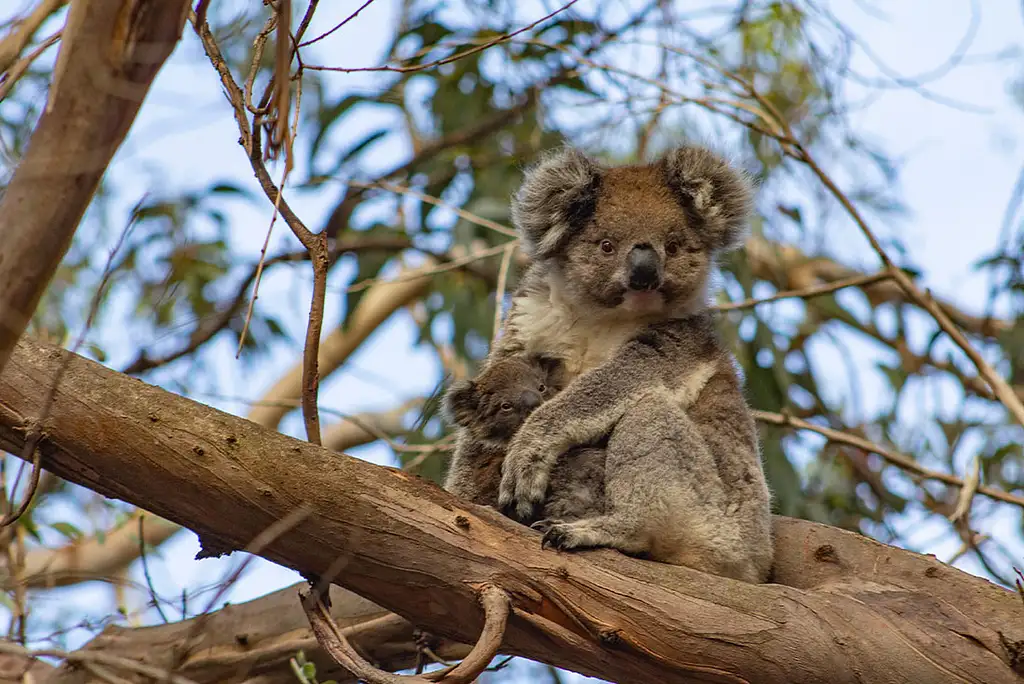 7 Day North Queensland Coast & Islands Adventure | Intrepid Tour