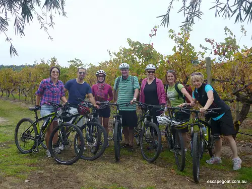 Hills, Vines and Wines by mountain bike adventure deals