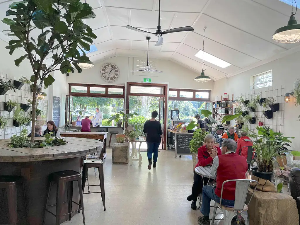 Noosa Hinterland with Gourmet lunch & Wine tasting - Day Tour