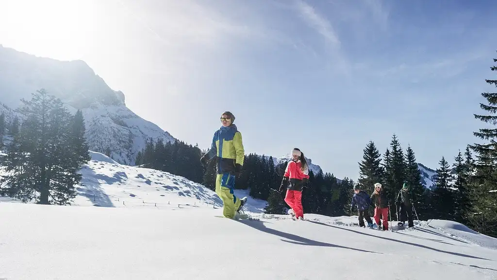 Mt. Pilatus Self-guided Trip by Cable Car from and to Kriens