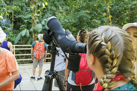 bird-watching-manuel-antonio
