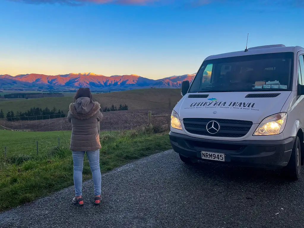 Christchurch to Mt Cook Day Tour - One way