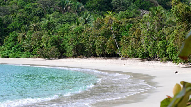 Costa-Rica-Manuel-Antonio-NP-Rainforest-Beach