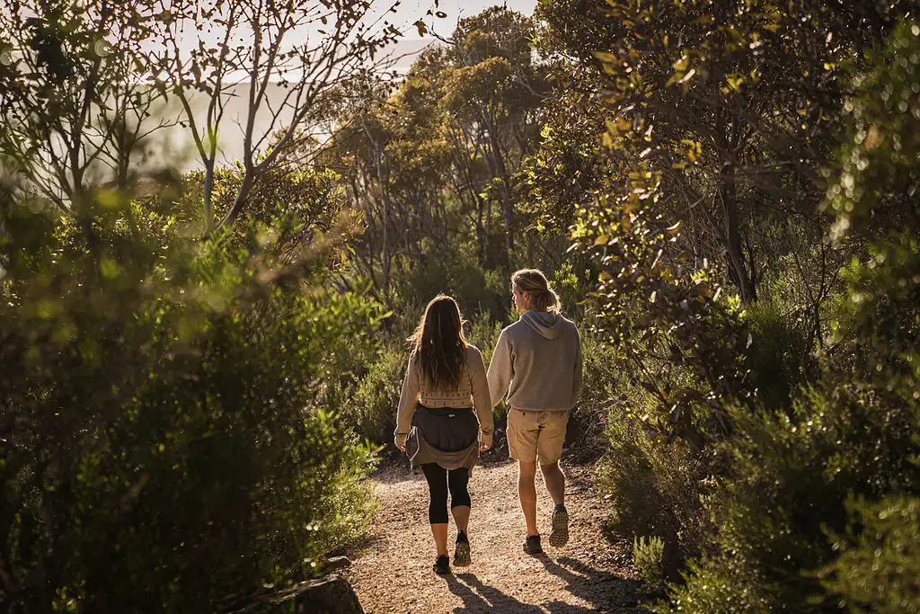 6 Day Eyre Peninsula and Flinders Ranges Adventure Tour
