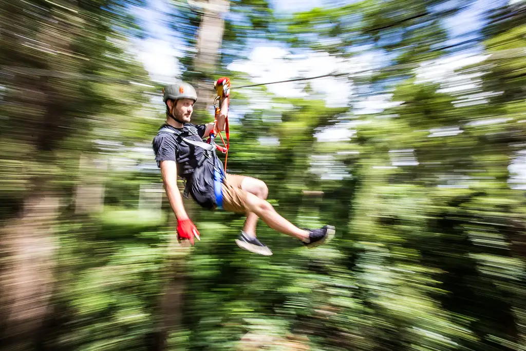 Treetop Challenge Sunshine Coast (Big Pineapple)