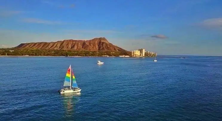 Waikiki Turtle Snorkel Adventure
