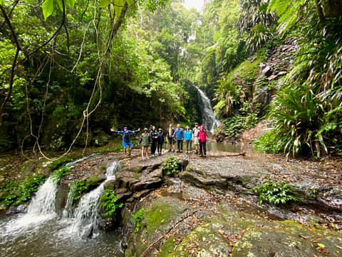 Lamington Full Day Tour from Gold Coast