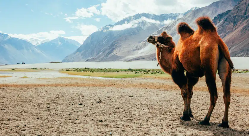 Beautiful Ladakh
