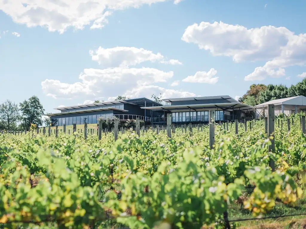 Yarra Valley Wine Experience with Lunch - Pick up Melbourne or Yarra Valley