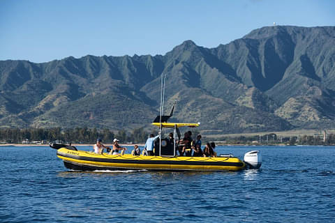North Shore Snorkeling Tour deals