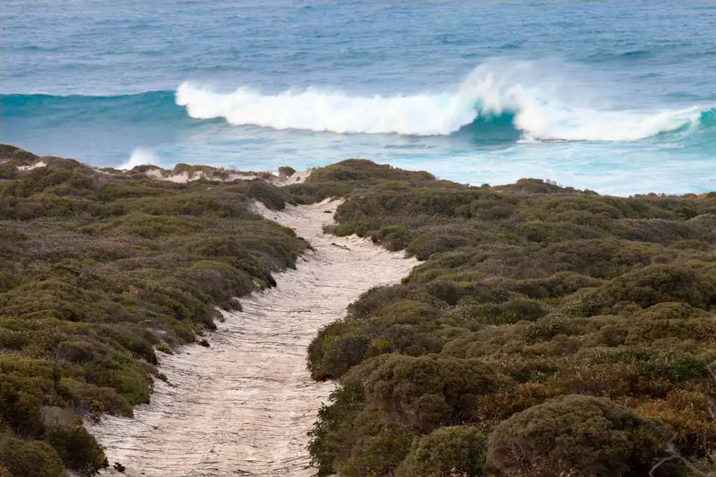 2 Hour Surf & Sand Buggy Adventure - Vivonne Bay