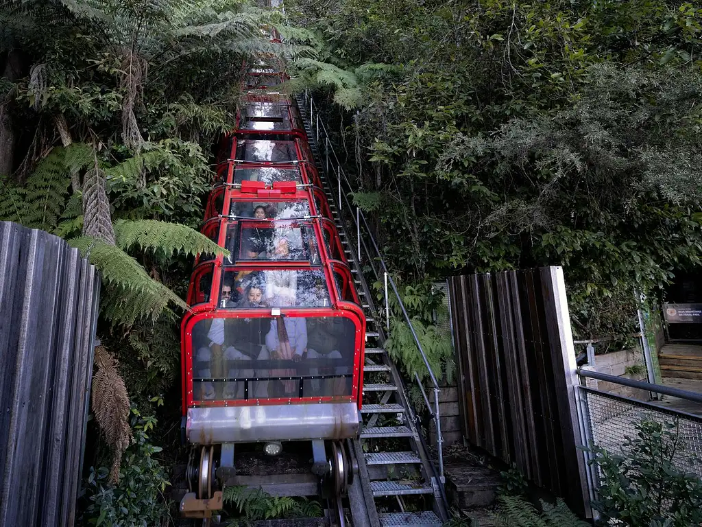 #1 Rated Blue Mountains Tour, Scenic World, Lunch, RiverCruise | Combo with Vivid Cruise available