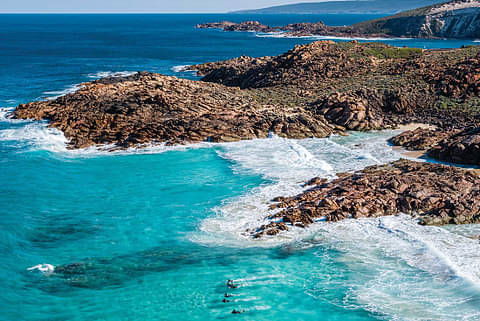 8 Day WA Cape to Cape Track Hike Discount