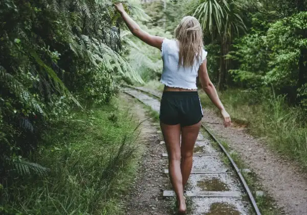 'Northern Round-up' Bus Pass | NZ North Island | Kiwi Experience