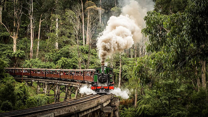 Puffing Billy, Moonlit Sanctuary & Phillip Island Day Tour