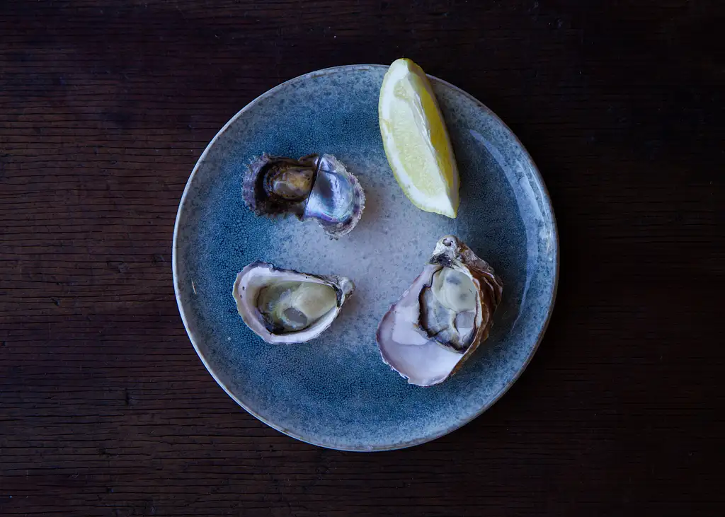 Broken Bay Oyster Farm Experiences - Oyster Tasting or Farm Tour