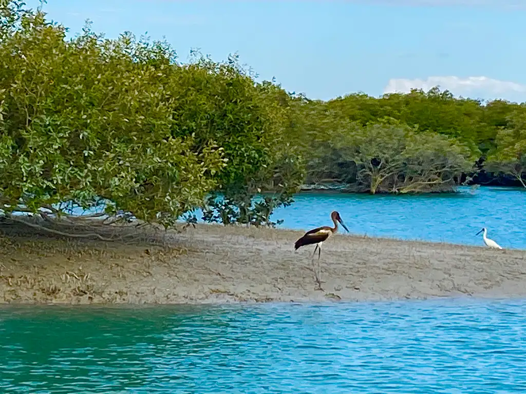Scenic and Prehistoric Cruise