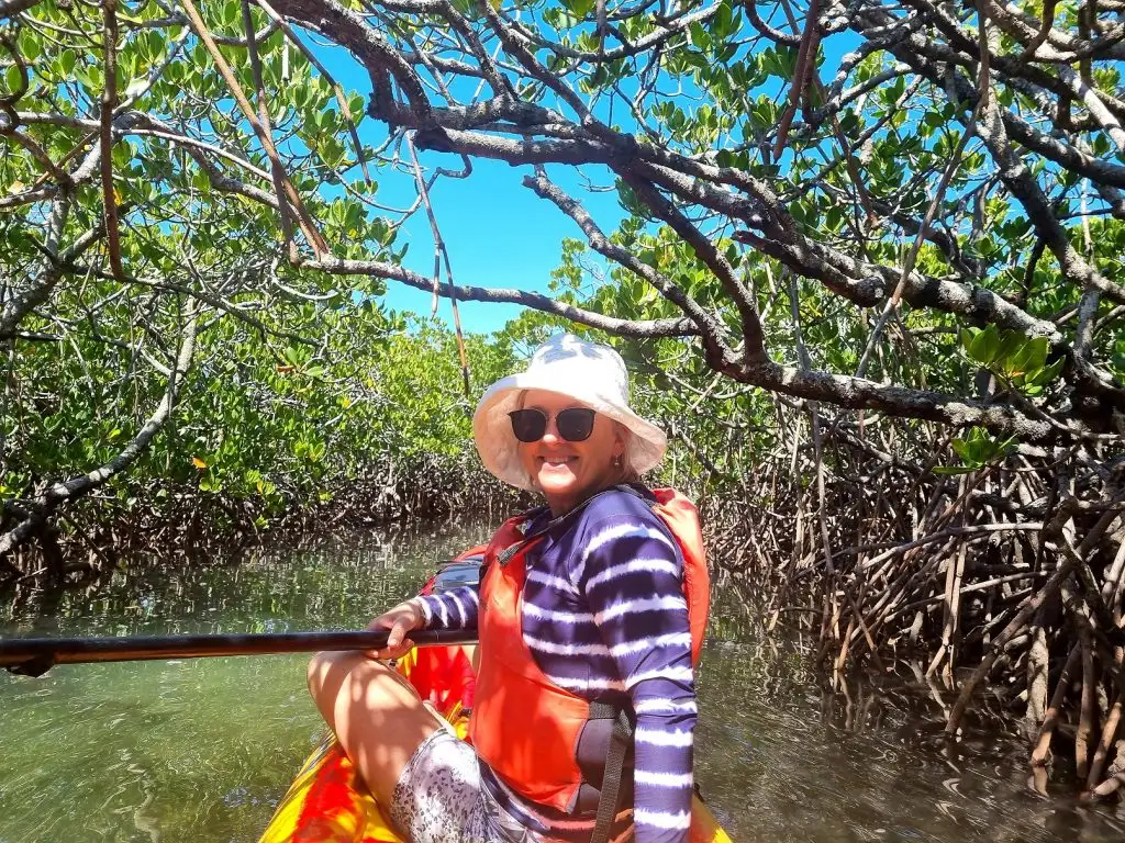 Noosa Mangroves and Mansions Kayak Adventure