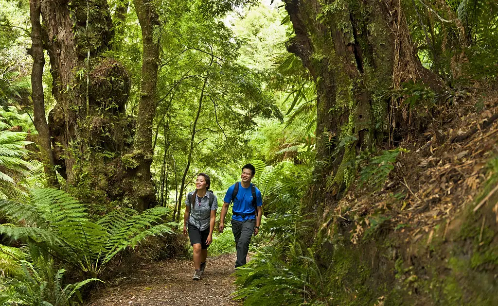 Full Day Great Ocean Road Tour