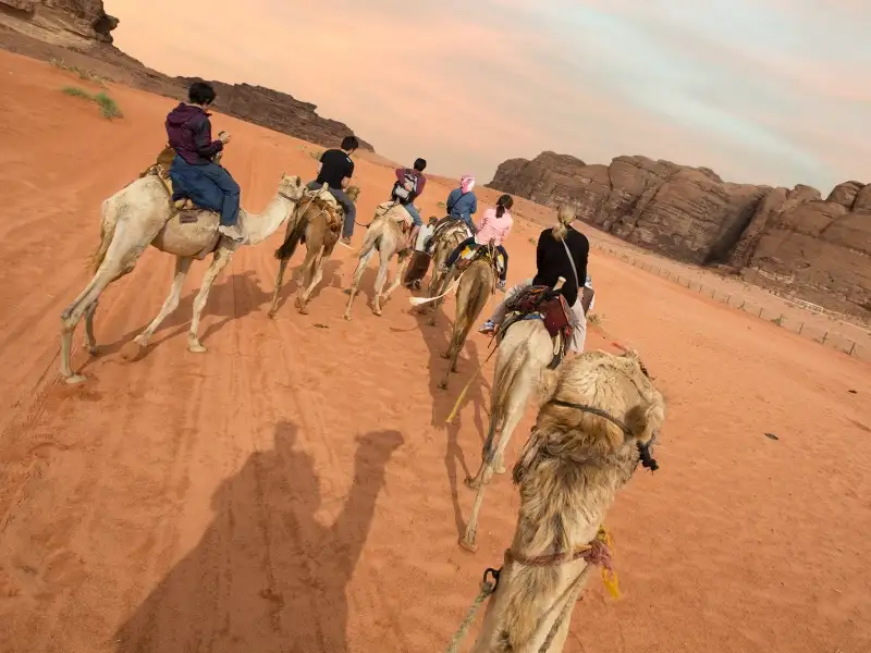 8 Day Highlights of Jordan Tour