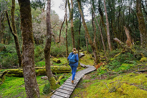Walk Cradle Mountain National Park Deals