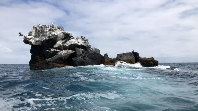 10 Day Galapagos Islands Cruise – East, Central & West Islands