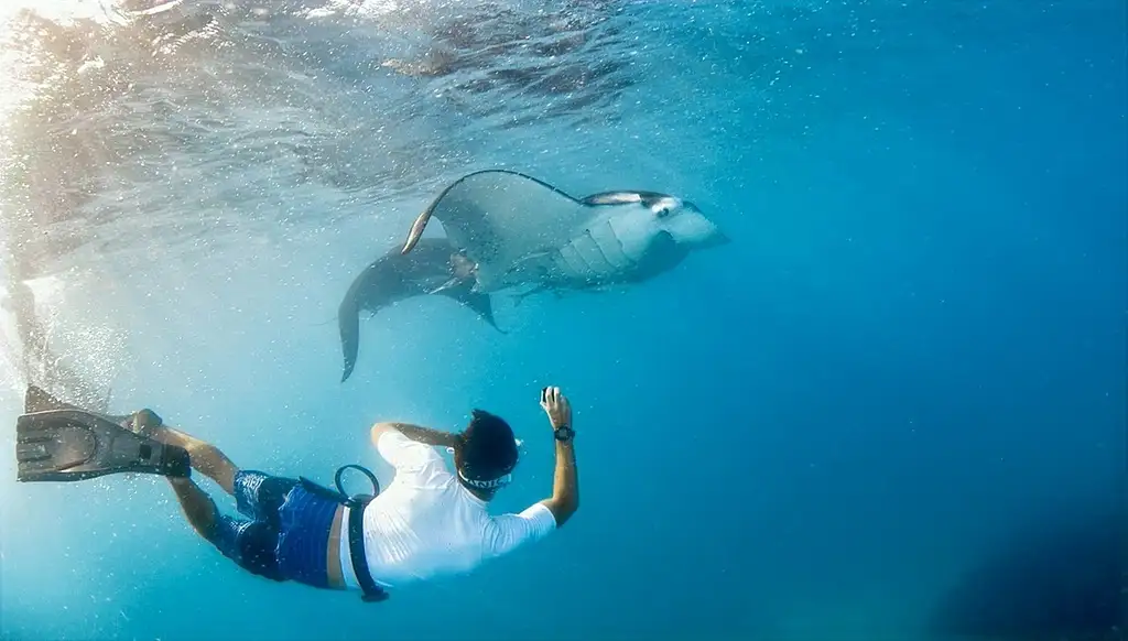 8 Day Yasawa Wanderer | Awesome Adventures Fiji