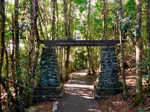 Lamington National Park walk deals