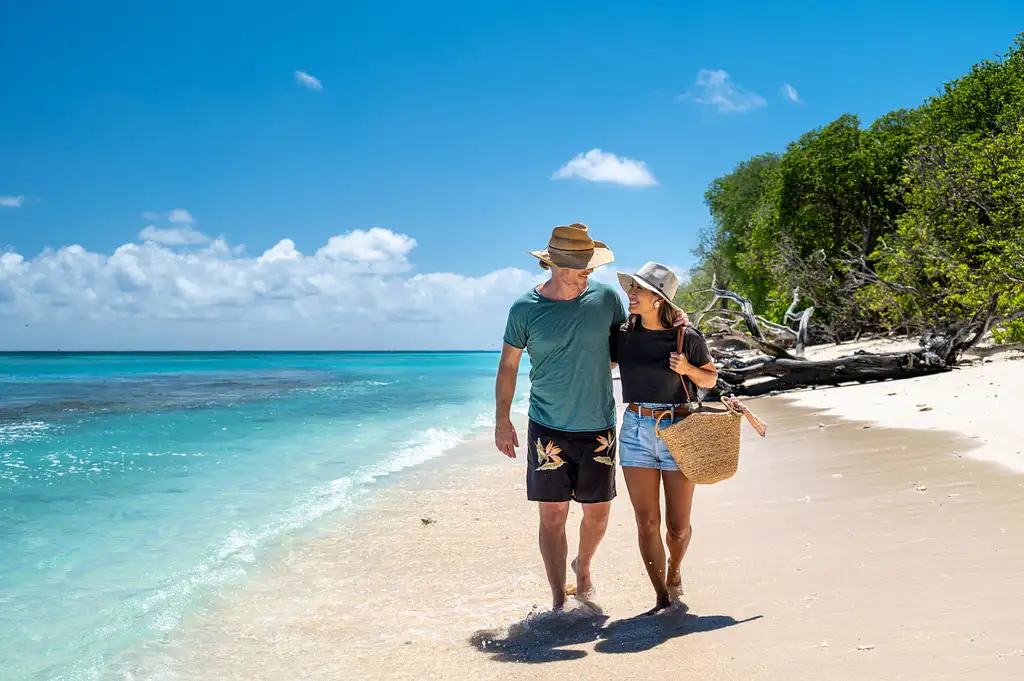Lady Musgrave Experience Southern Great Barrier Reef Full Day Tour | From Bundaberg
