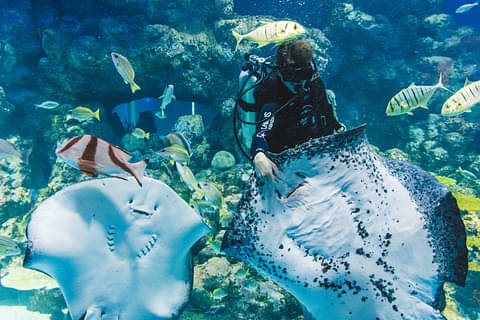 Cairns Aquarium Lunch