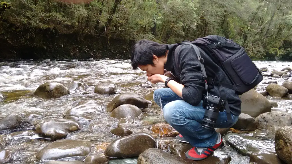Land of the Giants Wilderness Tour